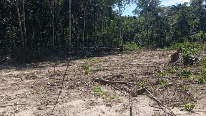 Vendo terreno localizado na estrada de novo Airão km35
