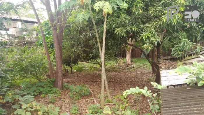 Terreno à venda, 1.995 m² - R$ 1.000.000,00 - Centro - Bacabal/MA