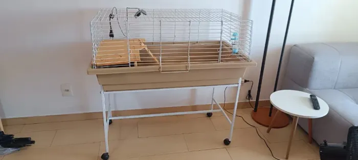 Gaiola para Porquinho da Índia