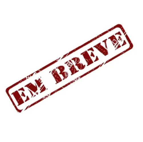 SUZUKI GSXS 750 2021 SOMENTE 19 MIL KM IMPECAVEL!! MUGELLO MOTOCENTER.