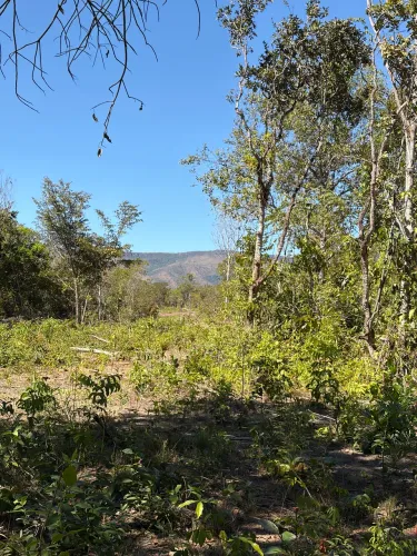 Vendo Fazenda em Cavalcante de Goiás