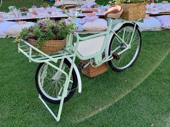 Bicicleta de carga.e roda gigante decorativa