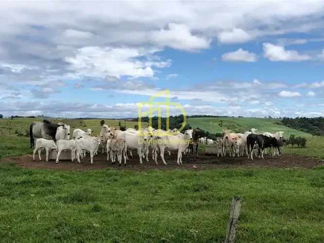 Fazenda à venda, 87 Alqueires por R$ 22.000.000 - Alambari/SP