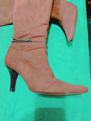 Bota