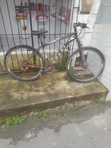 Bicicleta