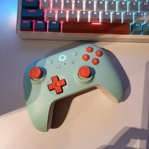 Controle Sem Fio 8bitdo 2c Wireless para PC Windows Android