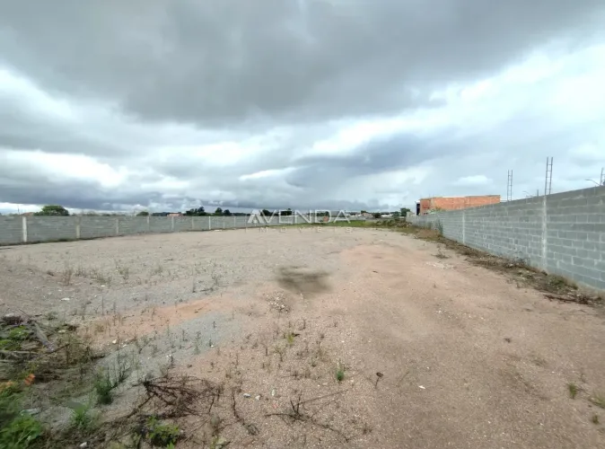 TERRENO PLANO EM PIRAQUARA