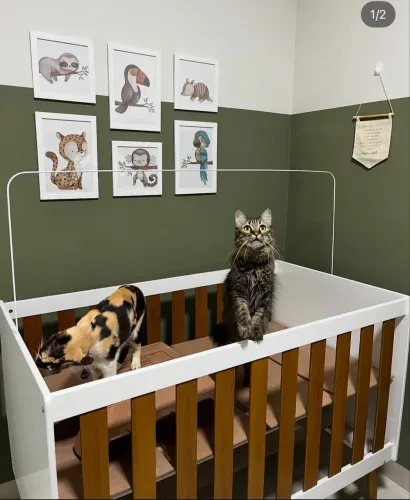 Berço 2 em 1 (Cama Montessoriana)