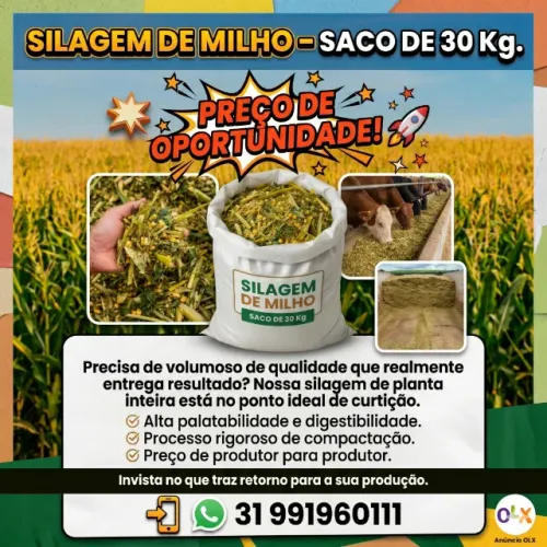 Silagem de milho curtido - Saco de 30 Kg - Silo venda