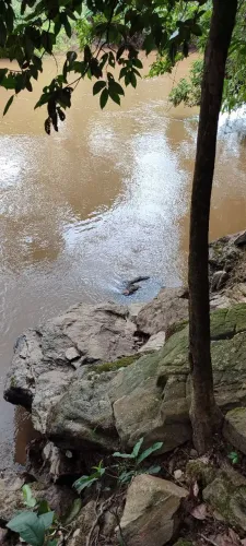 Chácara no Rio dos bois em Cezarina 
