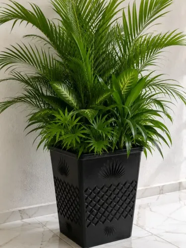 Caqueiro de planta super elegante para decorar a sua casa