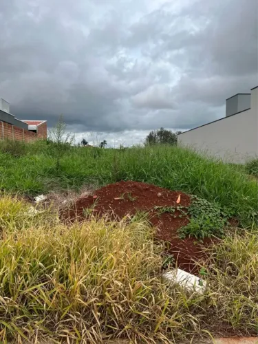 Terreno à venda em Artur Nogueira