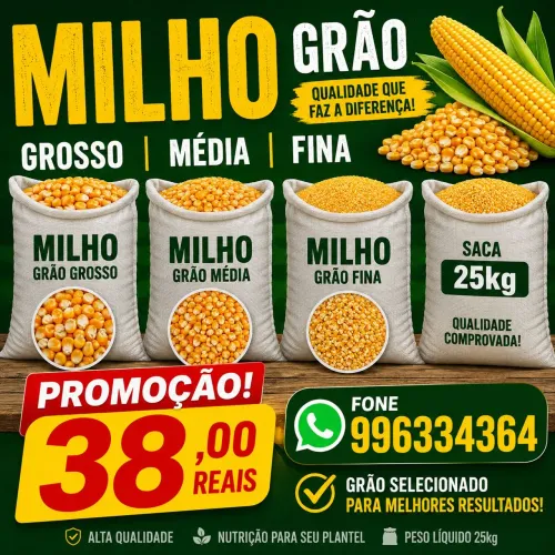 Milho 