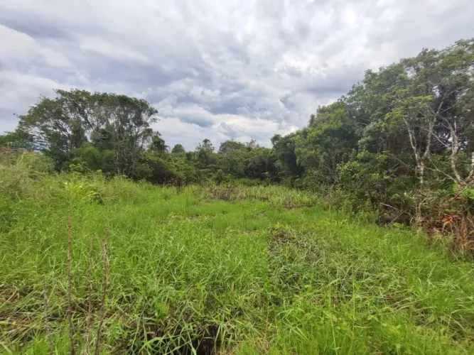 Lote/Terreno à Venda, Luizamar Mirim - Itanhaém