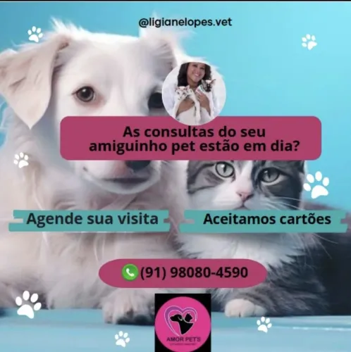 Consulta veterinária!
