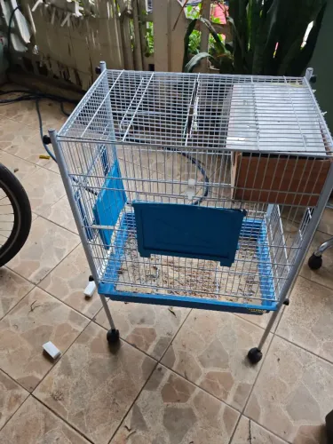 Gaiola para calopcita