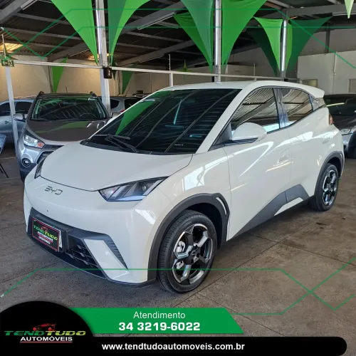 BYD Dolphin Mini (Elétrico) 2025