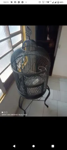 Gaiola rústica de ferro para decoração externa ou interna para agregar valor ao ambiente