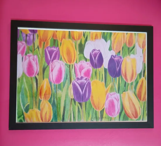 Quadro Tulipas Coloridas - Tamanho A3 com Moldura (Tiragem Limitada)