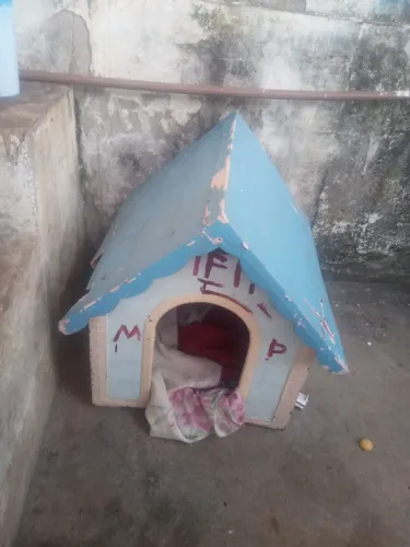 Casinha de cachorro