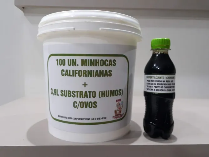 100 unidades minhocas californianas + 3,9l substrato humos + brinde