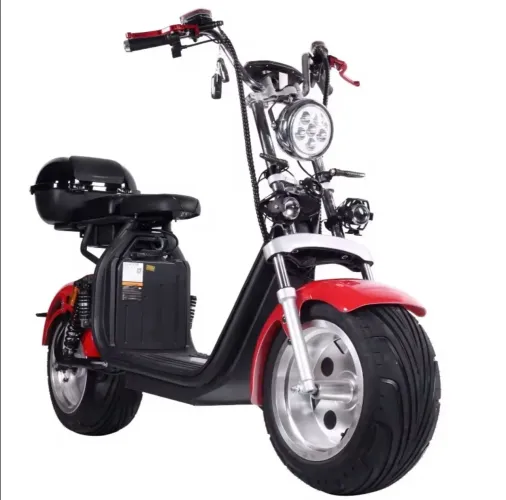 Scooter X13 1000w