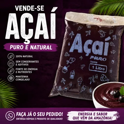 POLPA DE AÇAÍ CONGELADO