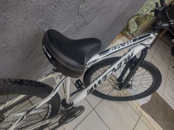 Bicicleta aro 29 