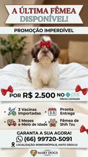 Femea pais com pedigree