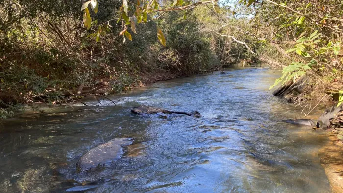 Chácara de 20mil mt cercada e com rio passa quatro no fundo