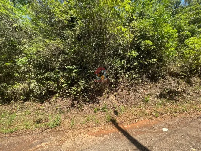 Lote Jardins de Petrópolis