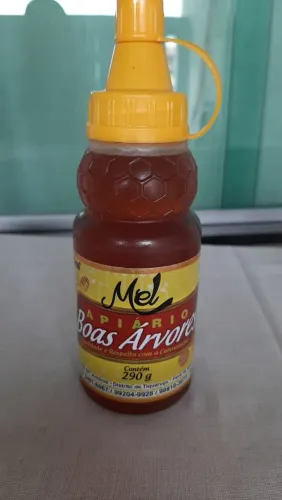 Mel de abelha puro