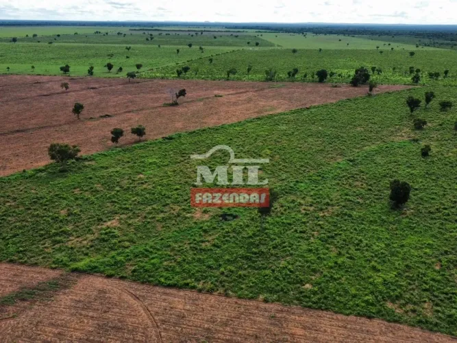 Fazenda 341,5 Alqueires ( 1650 hectares ) Ribeirão Cascalheira-MT