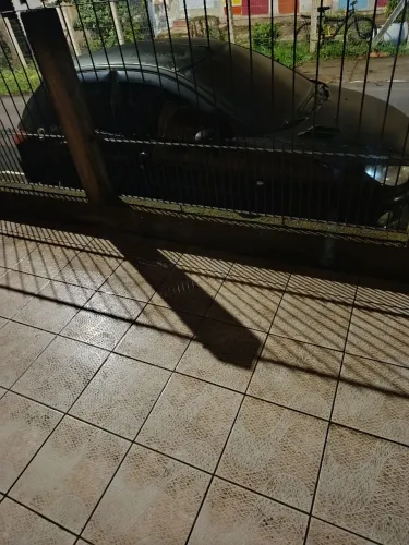 aceito proposta dachshund por peugeot 2004 