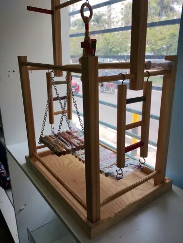 Brinquedos pet