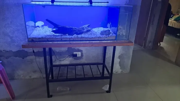 Aquário  completo com base