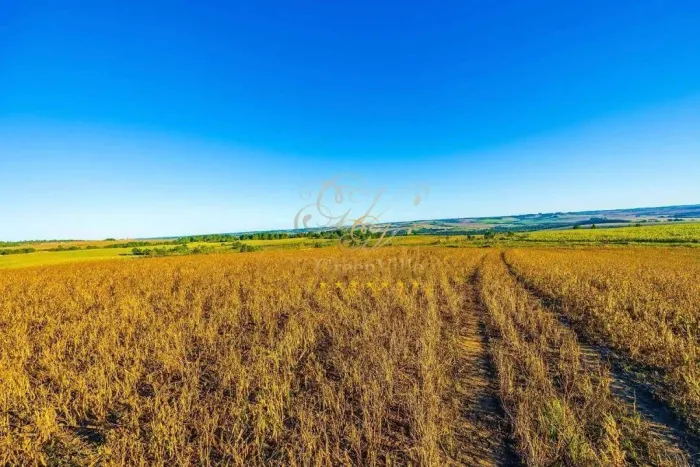 Fazenda Rural à venda, , - FA0265.