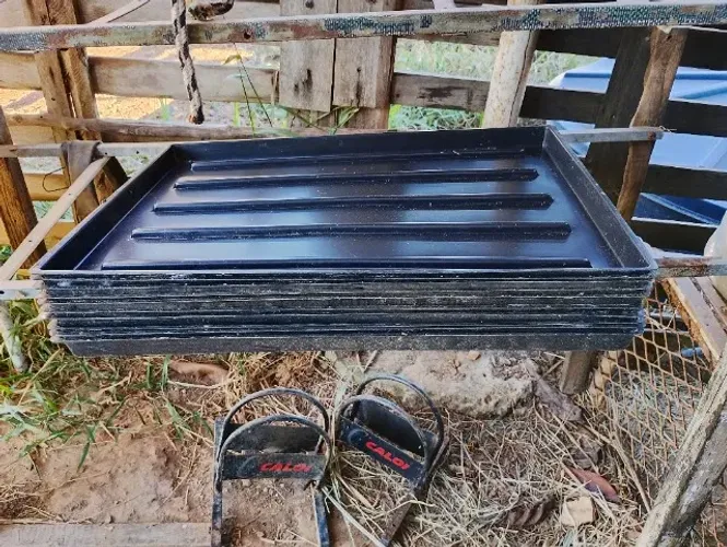 Bandeja para milho hidropônico