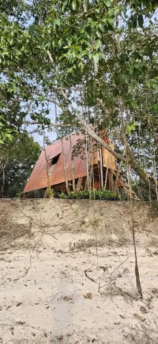 LINDA PROPRIEDADE RURAL A VENDA NO FAMOSO RIO CURUATINGA PRÓXIMO A SANTARÉM FÁCIL ACESSO