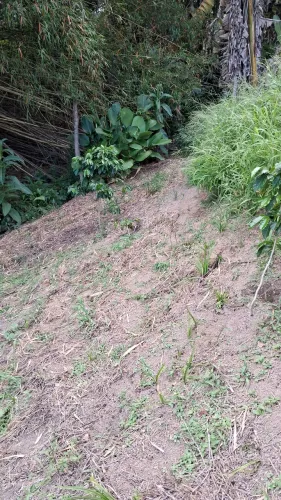 Vendo troco