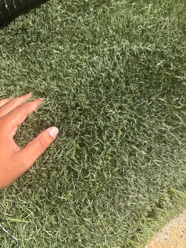 Grama Sintética R$25,00 m²