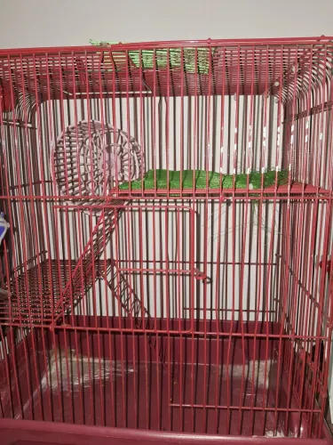 Gaiola Hamster