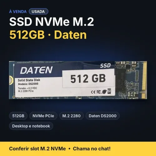 SSD NVMe M.2 512GB Daten DS2000