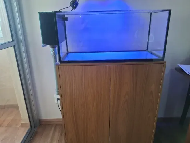 Aquário marinho extra clear bean animal 80x35x35 + sump + móvel 