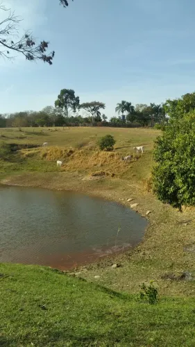 Sítio/Pesqueiro/Pasto/ Casa 3 Suítes 80.000m²