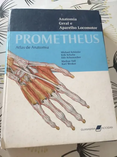 Atlas de Anatomia