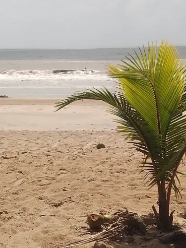 Imóvel para aluguel com 45 metros quadrados com 2 quartos em Jardim Oceania - João Pessoa