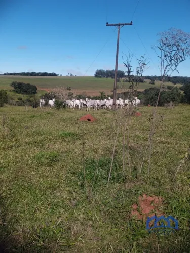 Sítio/Fazenda à Venda, 42 alqueires por R$ 10.500.000 Cód. ch2828