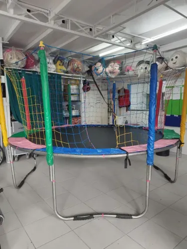 Cama elástica de 3,05m