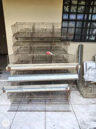 Gaiolas para codornas